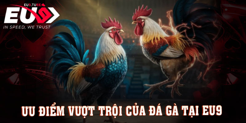 uu-diem-da-ga-eu9